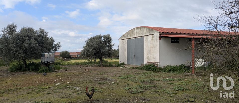 Comércio diverso em Cano de 340 m²
