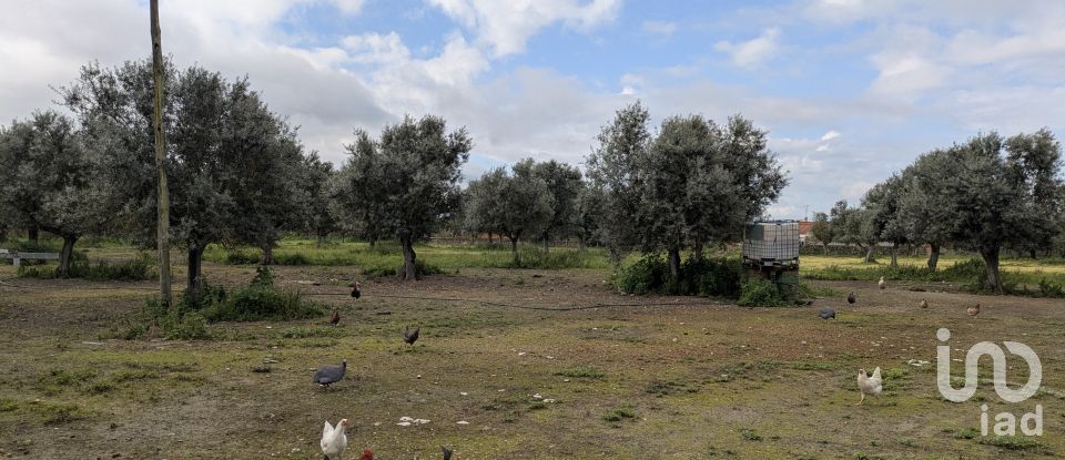 Comércio diverso em Cano de 340 m²
