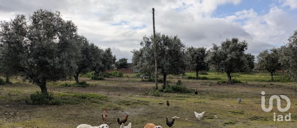 Comércio diverso em Cano de 340 m²