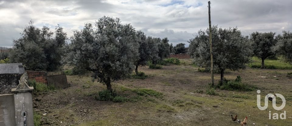 Comércio diverso em Cano de 340 m²