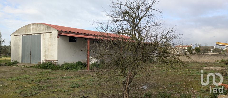 Comércio diverso em Cano de 340 m²