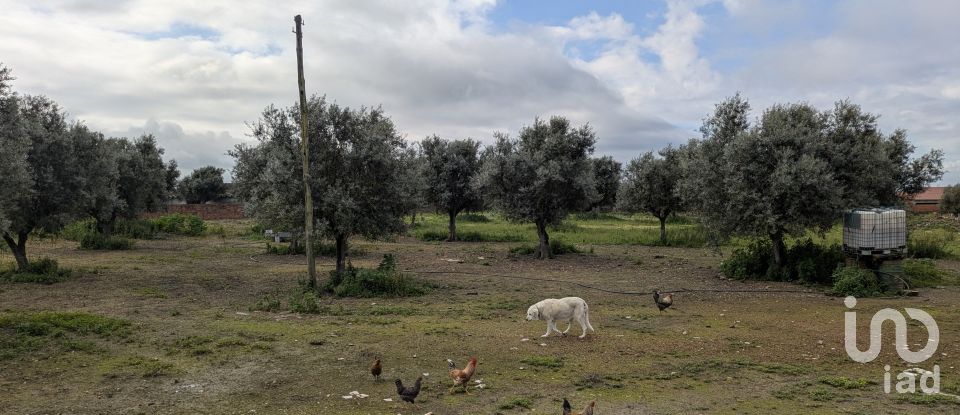 Comércio diverso em Cano de 340 m²