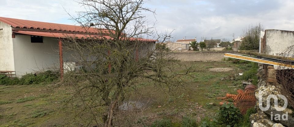 Comércio diverso em Cano de 340 m²