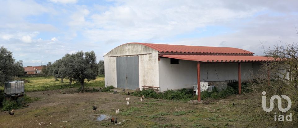 Comércio diverso em Cano de 340 m²