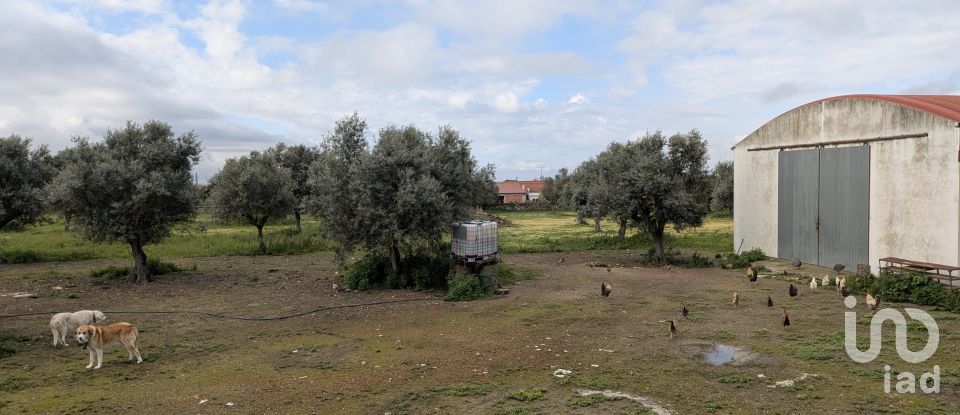 Comércio diverso em Cano de 340 m²
