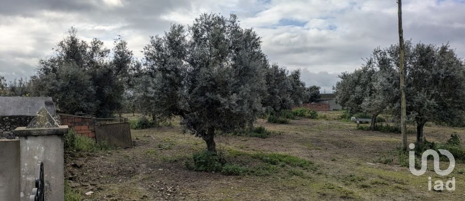 Comércio diverso em Cano de 340 m²