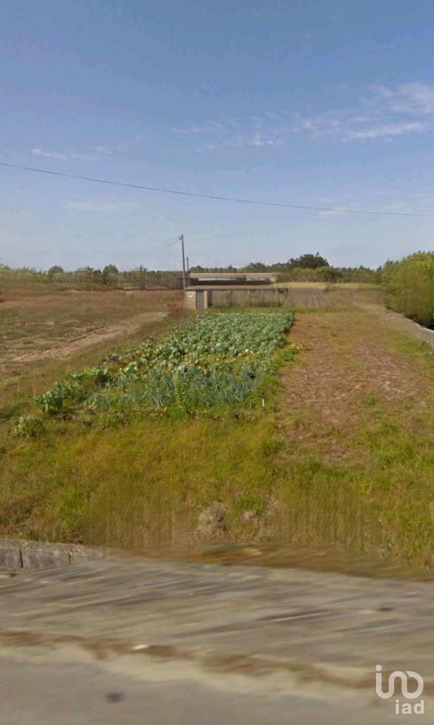 Land in Torreira of 1,436 m²