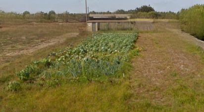 Land in Torreira of 1,436 m²