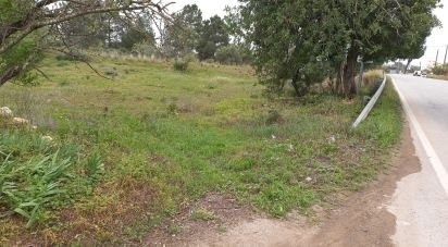 Farm land in Quarteira of 3,500 m²