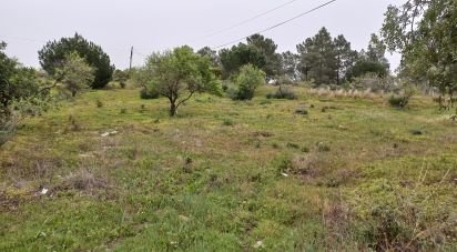 Farm land in Quarteira of 3,500 m²