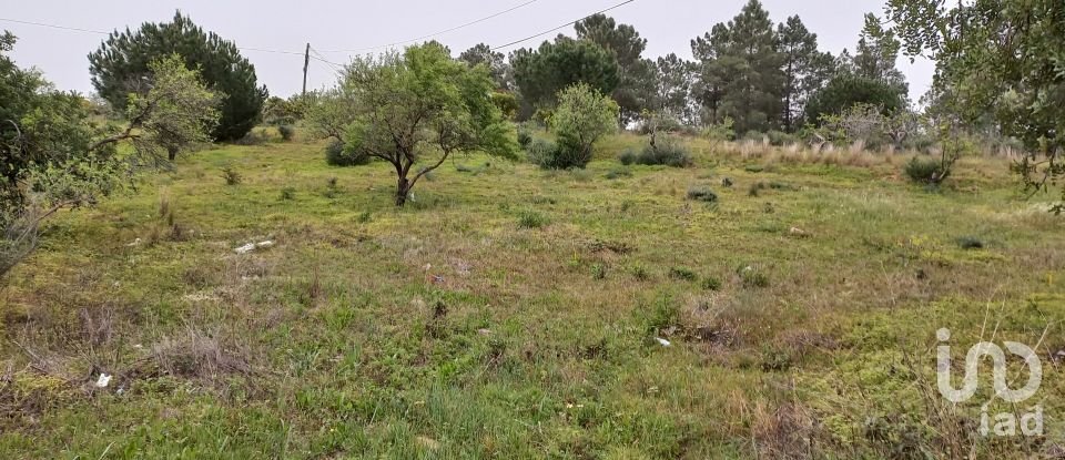 Farm land in Quarteira of 3,500 m²
