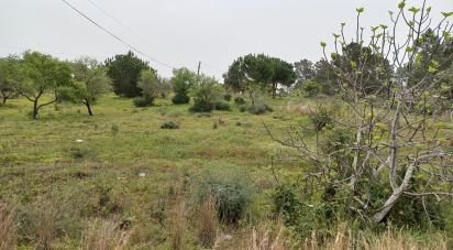 Farm land in Quarteira of 3,500 m²