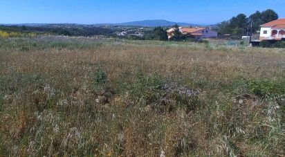 Terrain à Carnota de 40 400 m²