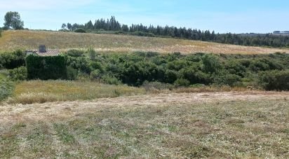 Terrain à Carnota de 40 400 m²