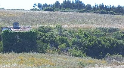 Terrain à Carnota de 40 400 m²