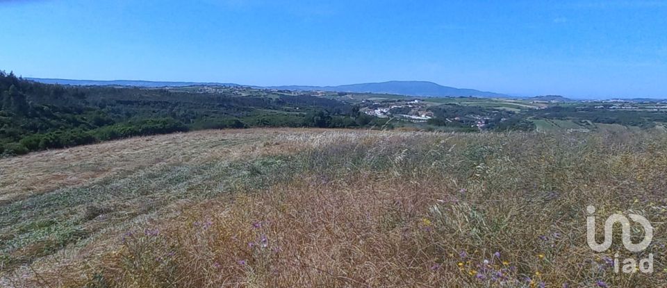 Land in Carnota of 40,400 m²