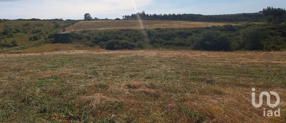 Land in Carnota of 40,400 m²