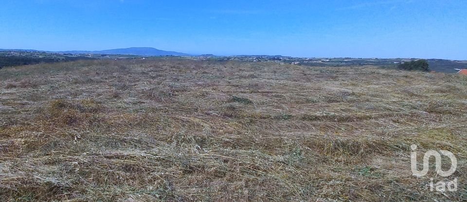 Land in Carnota of 40,400 m²