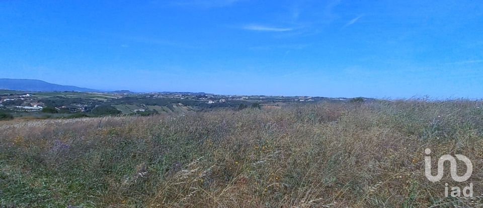 Land in Carnota of 40,400 m²