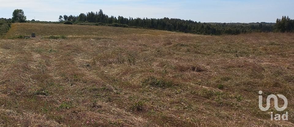 Land in Carnota of 40,400 m²