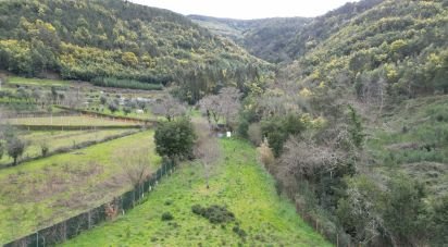 Terrain agricole à Lousã e Vilarinho de 1 725 m²