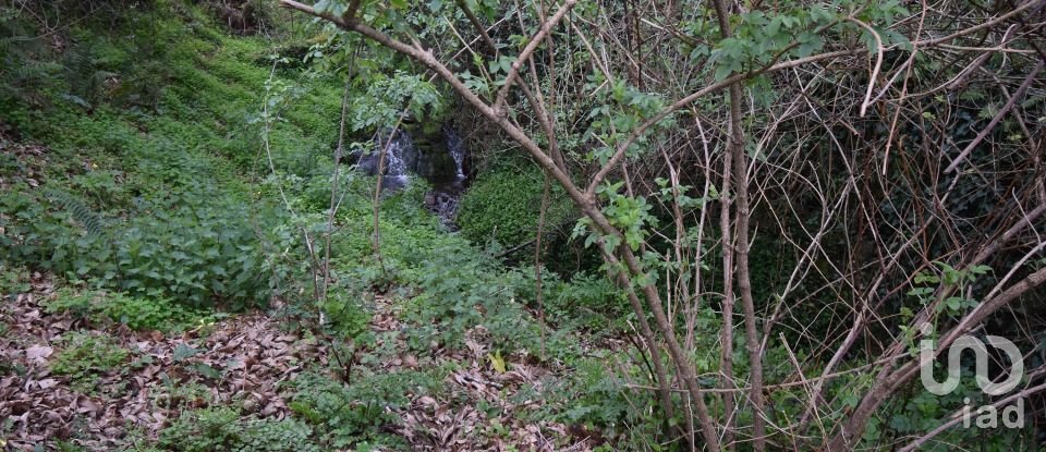Terreno rústico em Lousã e Vilarinho de 1 725 m²