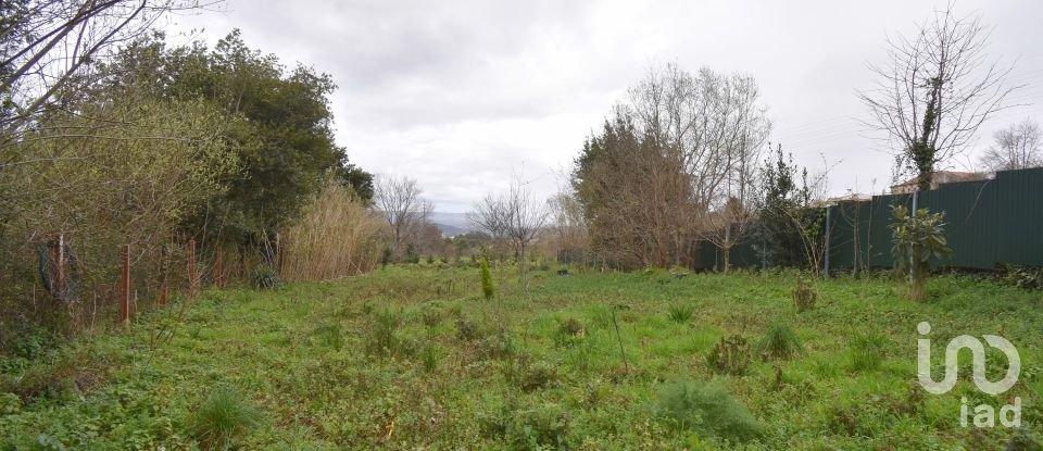 Terreno rústico em Lousã e Vilarinho de 1 725 m²