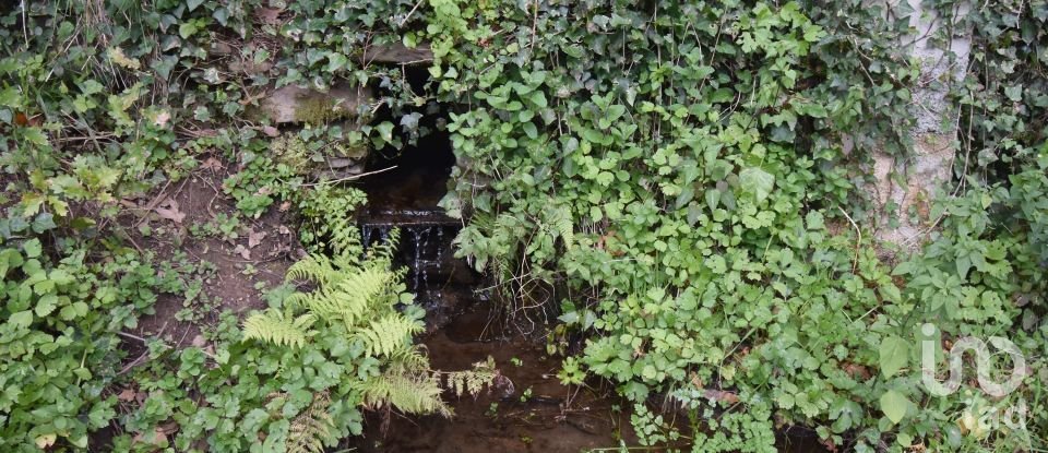 Terreno rústico em Lousã e Vilarinho de 1 725 m²
