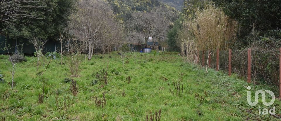 Terreno rústico em Lousã e Vilarinho de 1 725 m²