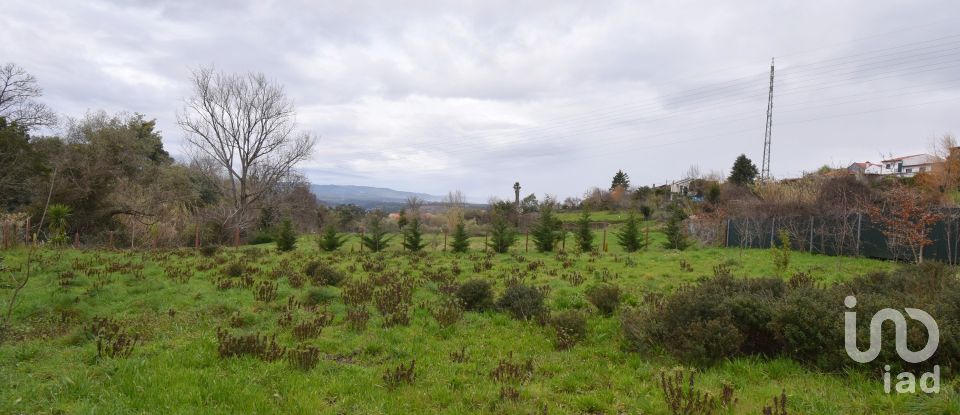 Terreno rústico em Lousã e Vilarinho de 1 725 m²