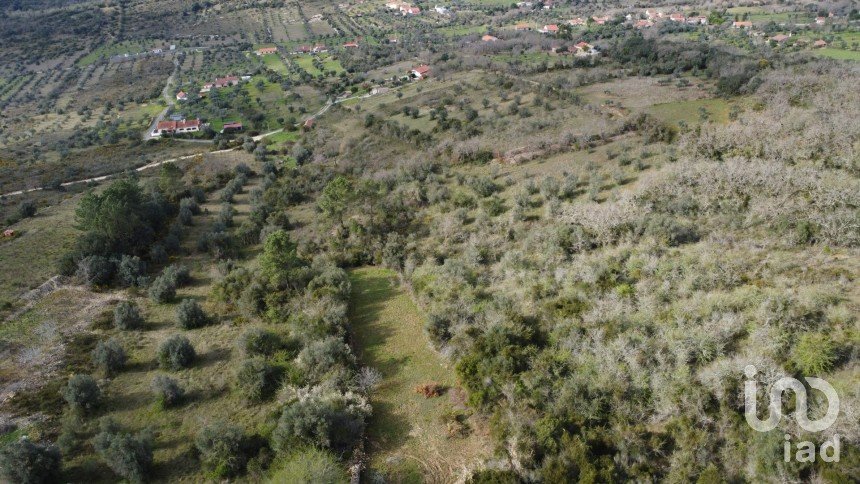 Terreno em Chãos de 2 000 m²