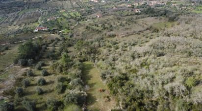 Terrain à Chãos de 2 000 m²