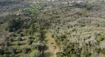 Terrain à Chãos de 2 000 m²