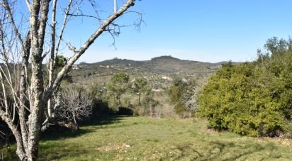 Terrain à Chãos de 2 000 m²