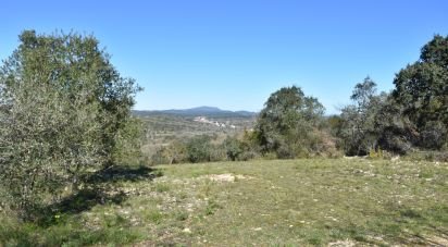 Terrain à Chãos de 2 000 m²