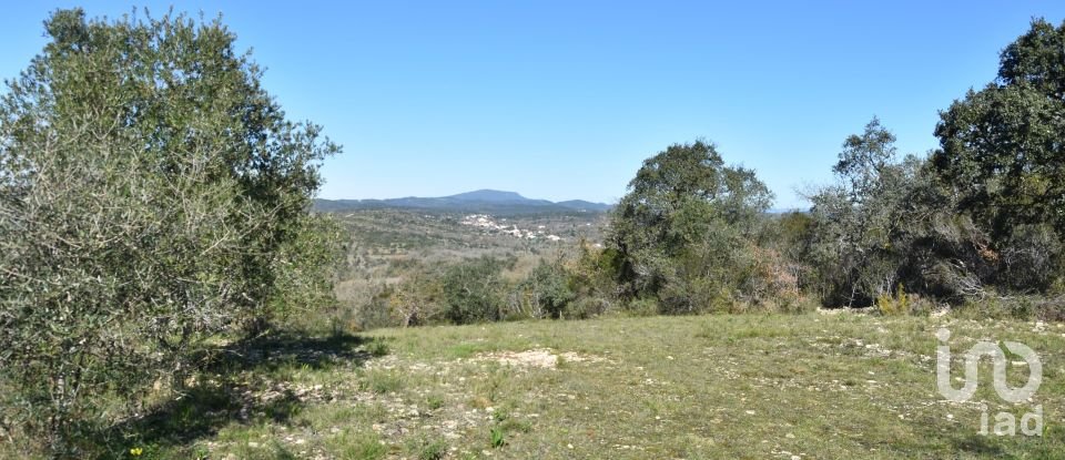 Terreno em Chãos de 2 000 m²