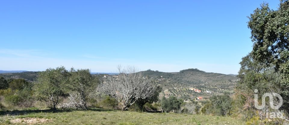 Terreno em Chãos de 2 000 m²