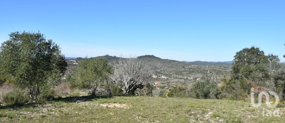 Terreno em Chãos de 2 000 m²