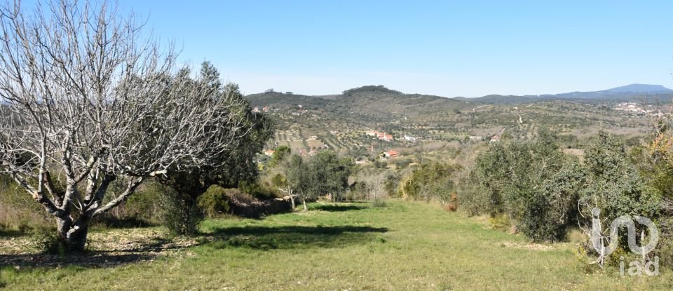 Terreno em Chãos de 2 000 m²