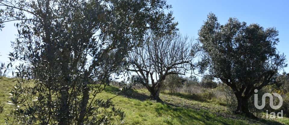 Terreno em Chãos de 2 000 m²