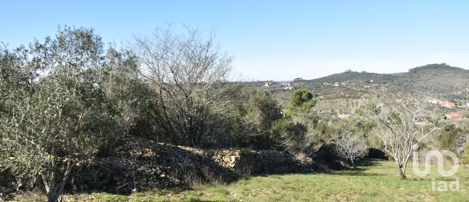 Terreno em Chãos de 2 000 m²