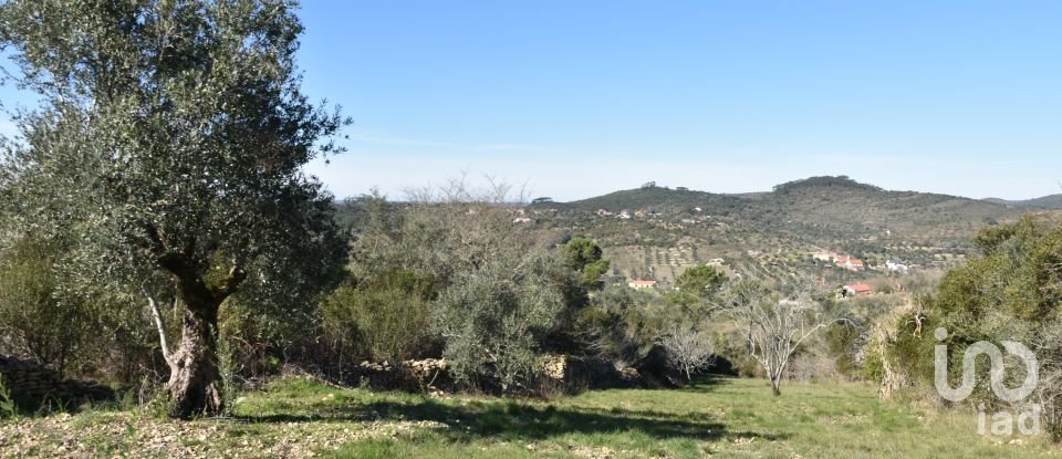 Terreno em Chãos de 2 000 m²
