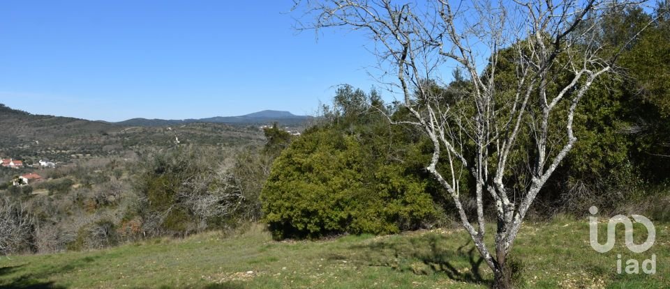 Terreno em Chãos de 2 000 m²