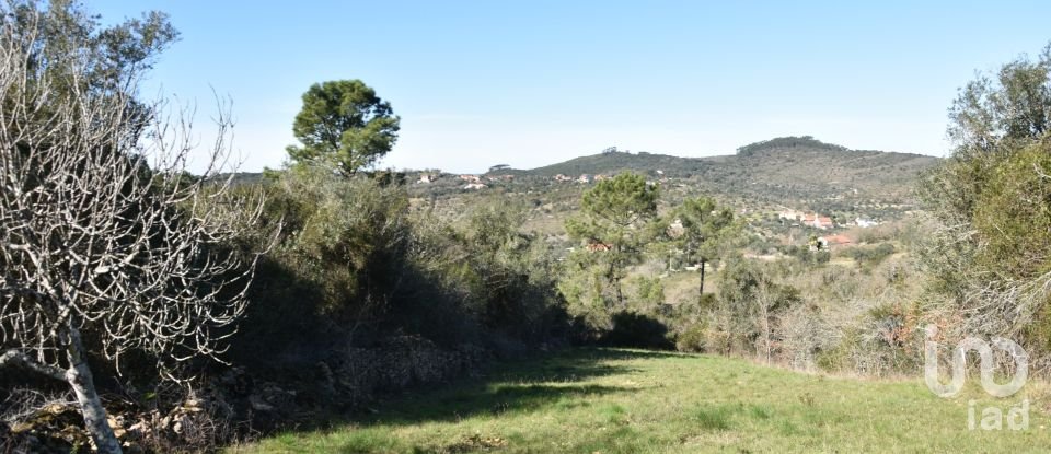 Terreno em Chãos de 2 000 m²