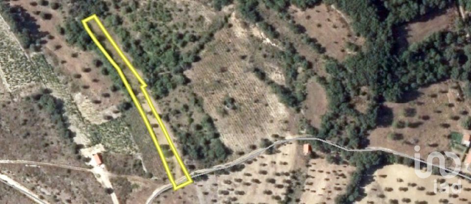 Terreno em Chãos de 2 000 m²