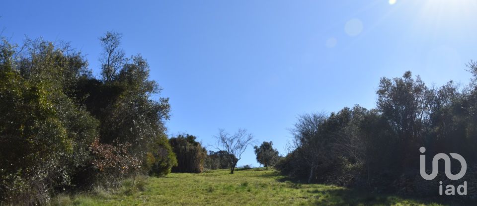 Terreno em Chãos de 2 000 m²