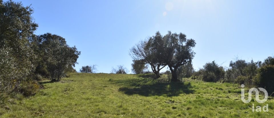 Terreno em Chãos de 2 000 m²
