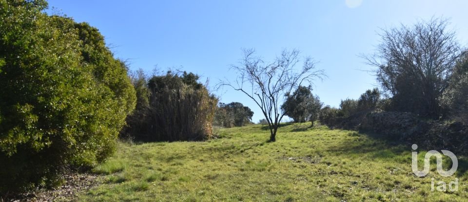 Terreno em Chãos de 2 000 m²