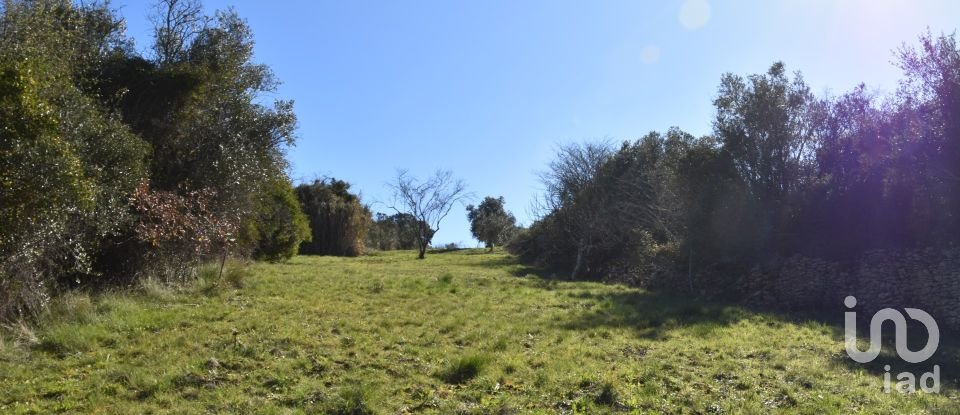 Terreno em Chãos de 2 000 m²