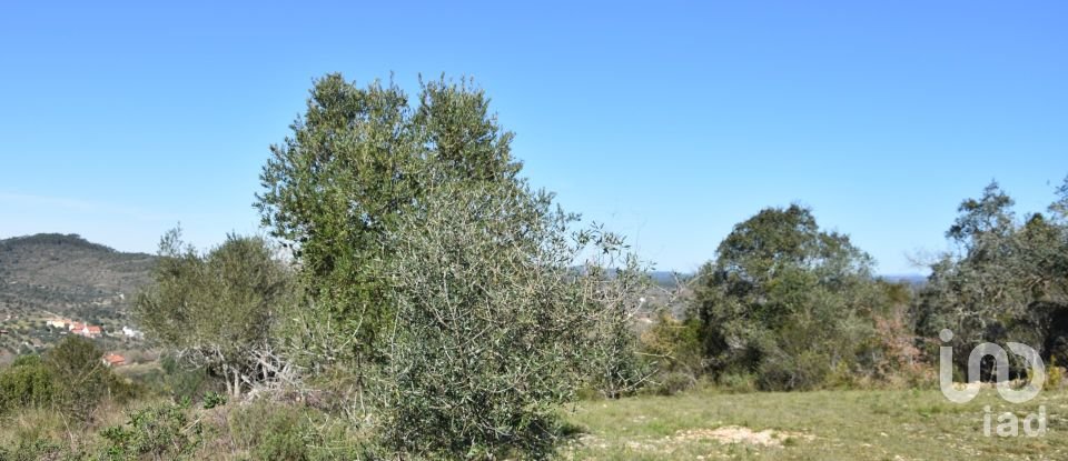 Terreno em Chãos de 2 000 m²